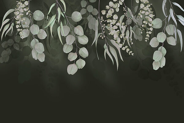 Delicate leaves on a dark backdrop Delicate leaves on a dark backdrop