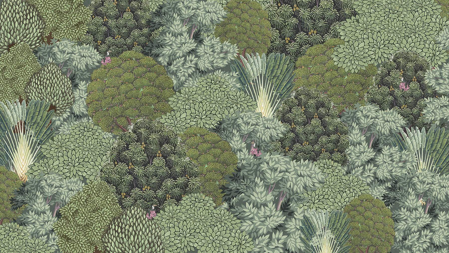 Large group of trees Large group of trees