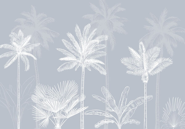 Group of palm trees Group of palm trees