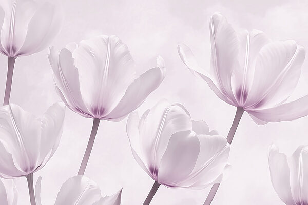 Group of white flowers