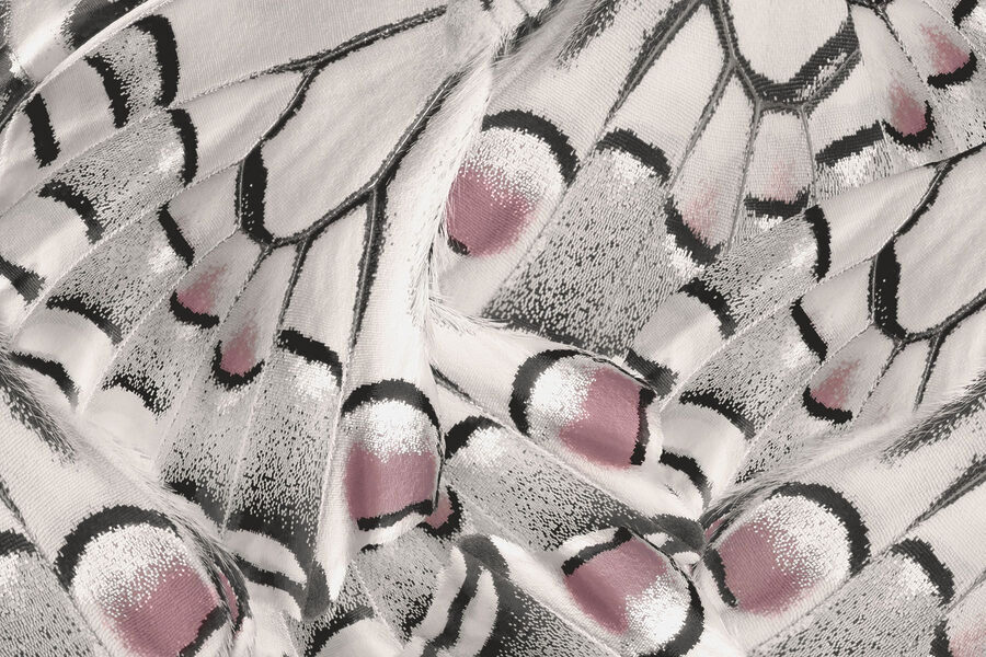 Wall murals Nature’s intricate patterns unfold beautifully. - Image 3