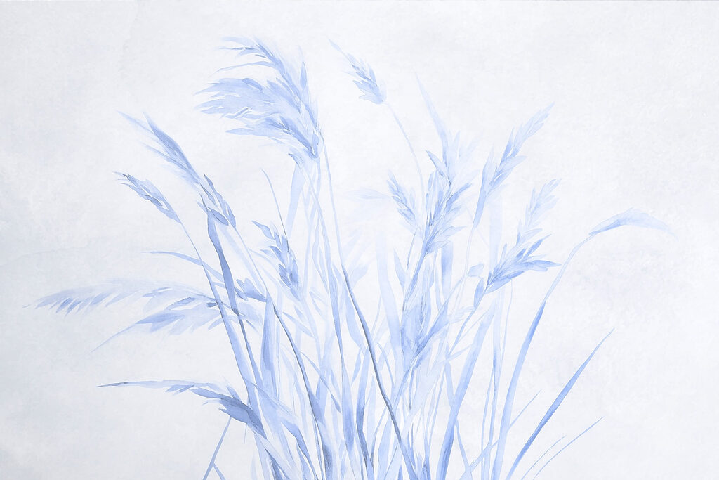 Delicate grasses in soft hues. Delicate grasses in soft hues.