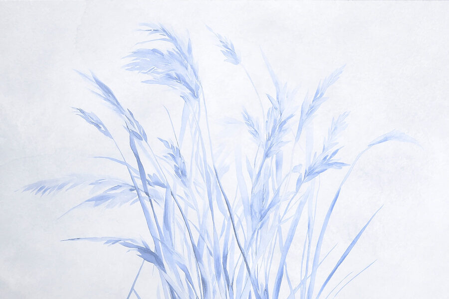 Delicate grasses in soft hues.