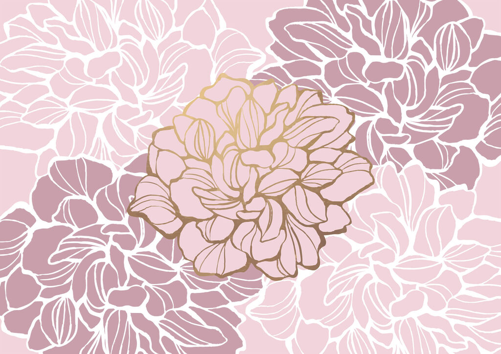 Pink and white flower Pink and white flower