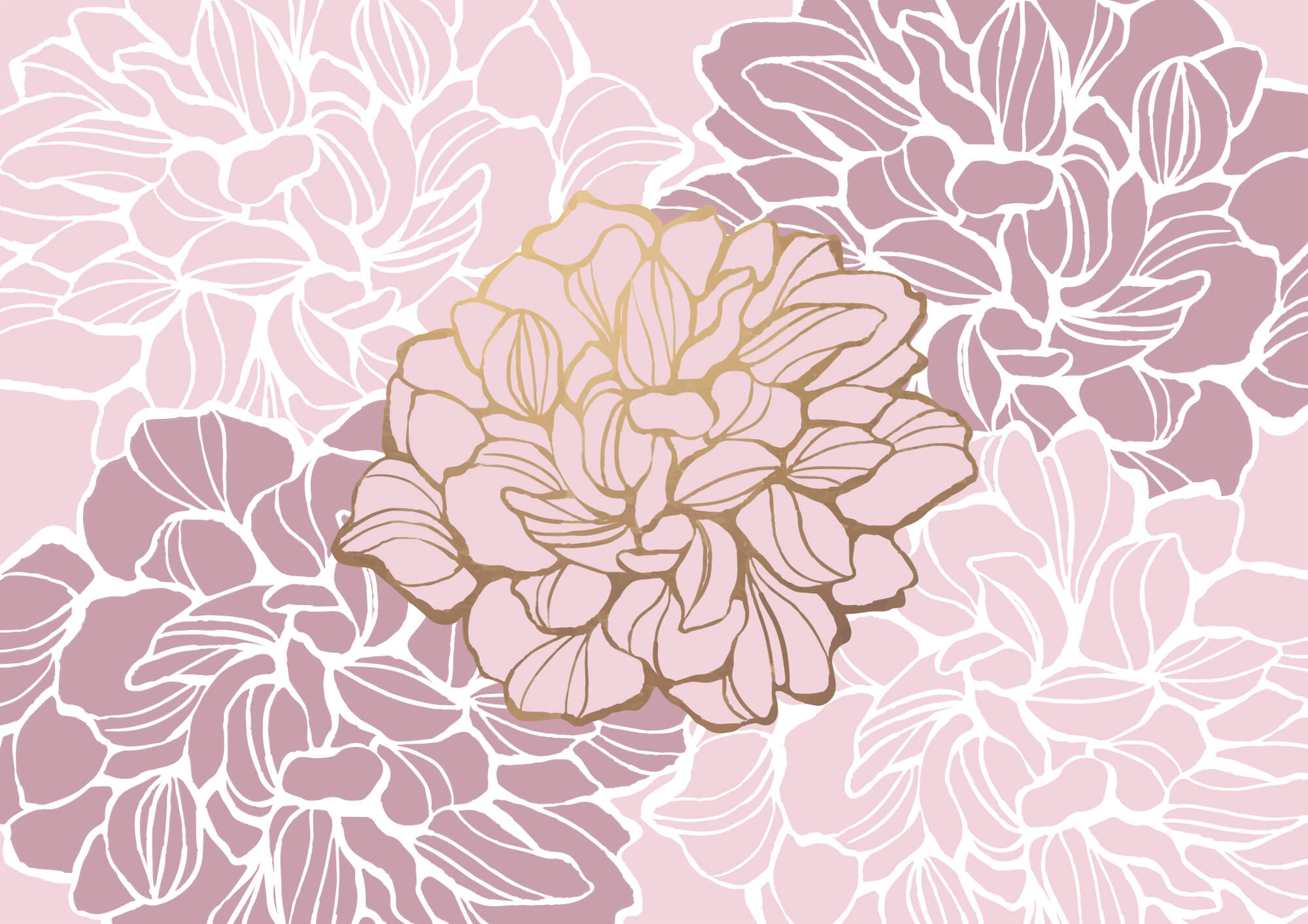 t00003v1p - Pink and white flower - tegory