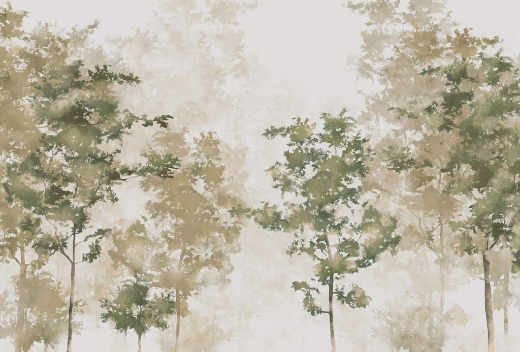 t00008p 1024x693 - Group of trees with fog - tegory