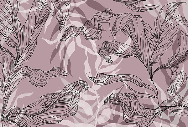 Drawing of leaves on a pink background Drawing of leaves on a pink background