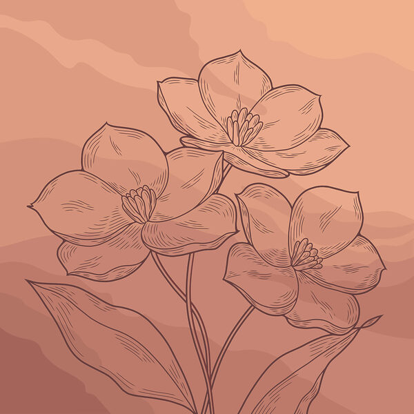 Drawing of flowers on a pink background Drawing of flowers on a pink background