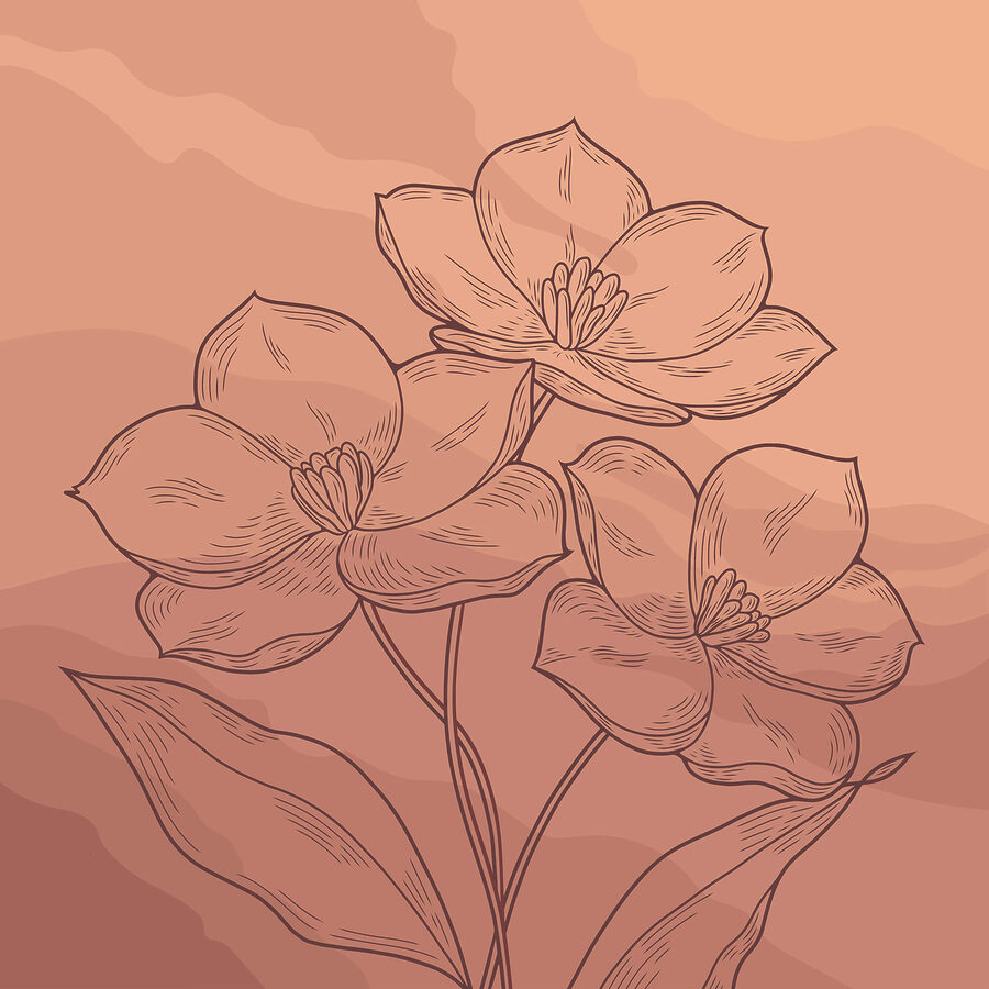 Drawing of flowers on a pink background