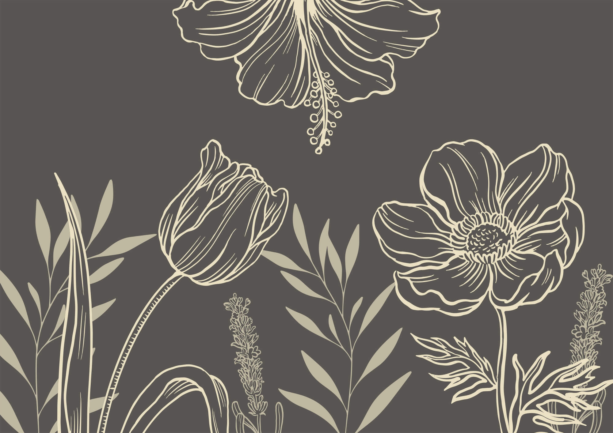 t00006p - Delicate floral line art design - tegory
