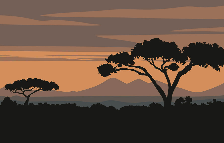 Wall murals Tree with mountains in the background - Image 3