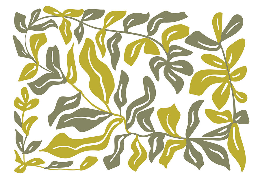 Wall murals Drawing of leaves and flowers