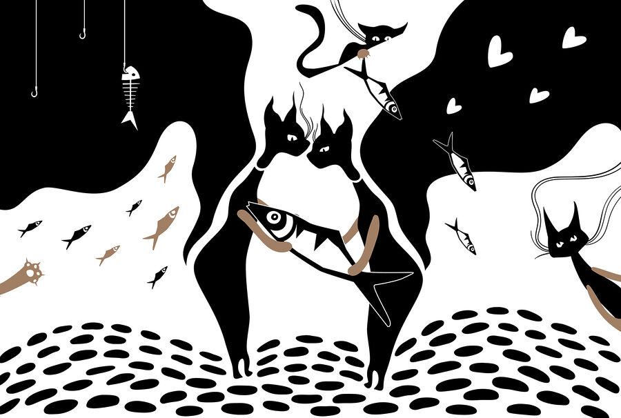 Black and white cat with fish and fish