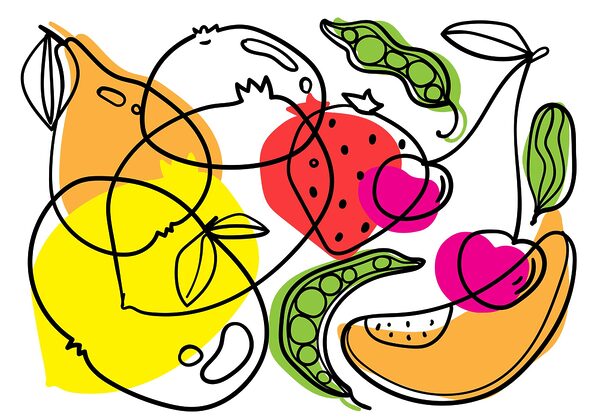 Drawing of different fruits and vegetables Drawing of different fruits and vegetables