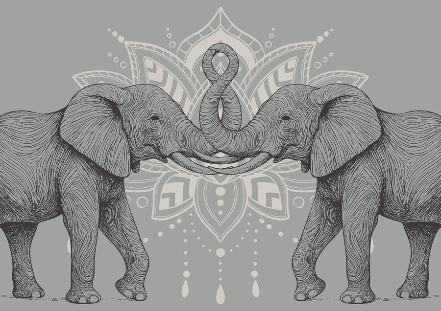 Two elephants with their trunks touching each other