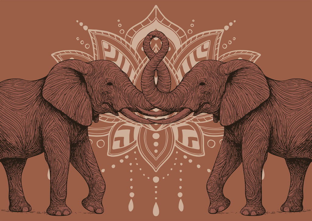 Two elephants with their trunks touching each other Two elephants with their trunks touching each other