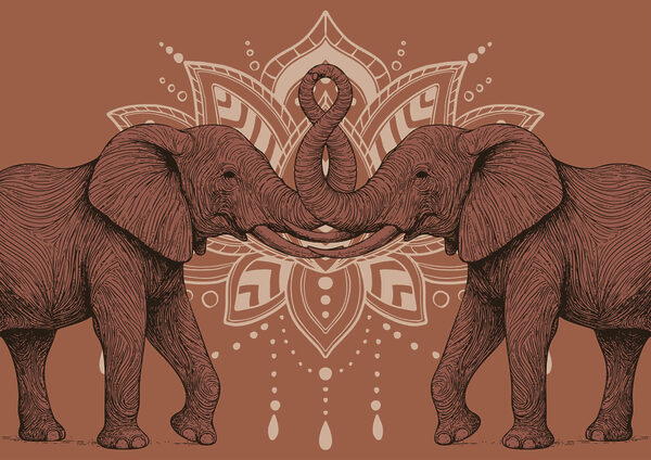 Two elephants with their trunks touching each other Two elephants with their trunks touching each other