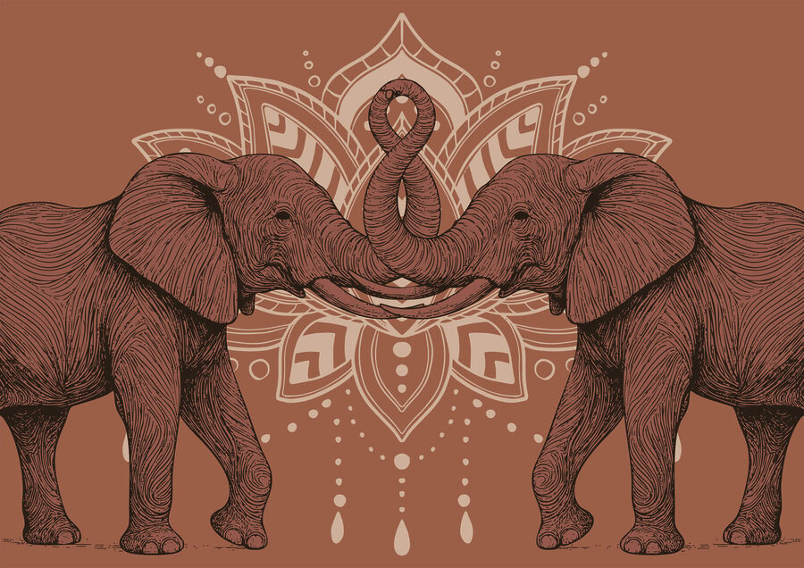 Two elephants with their trunks touching each other Two elephants with their trunks touching each other