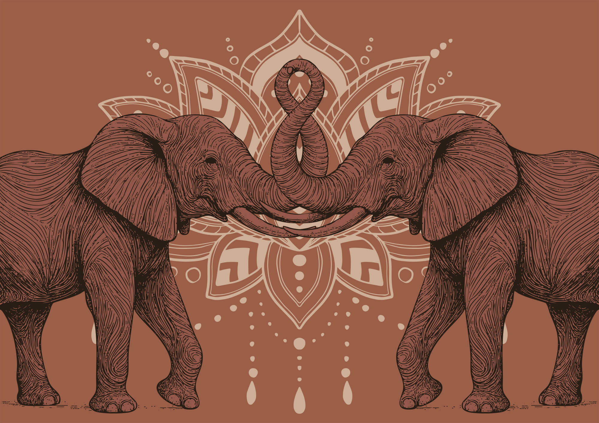 Two elephants with their trunks touching each other Two elephants with their trunks touching each other