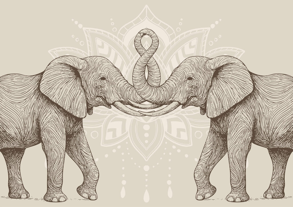 Two elephants with their trunks curled up Two elephants with their trunks curled up