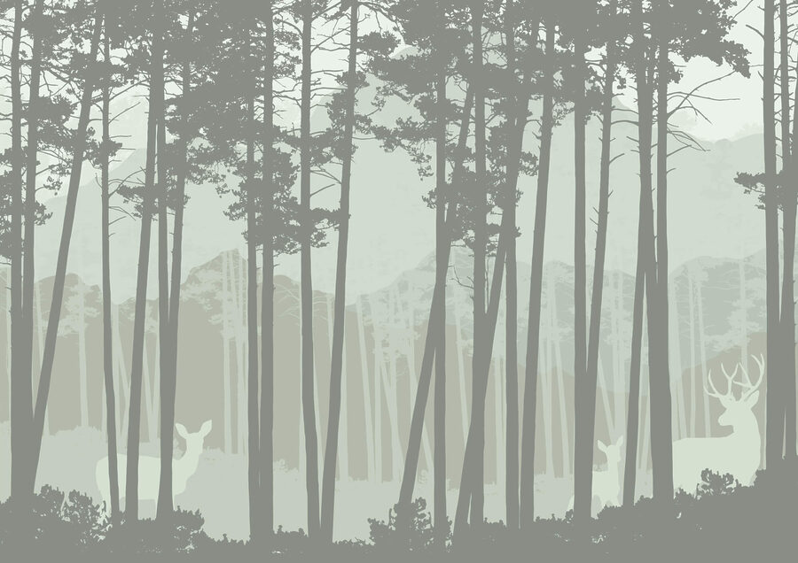Wall murals Group of trees in a forest - Image 3