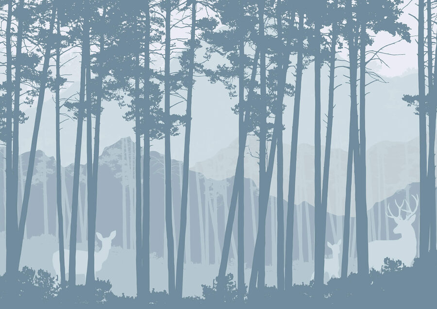 Group of trees in a forest