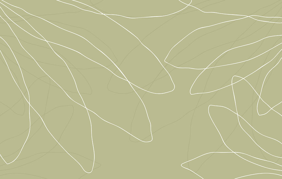 Wall murals Green background with white lines - Image 3