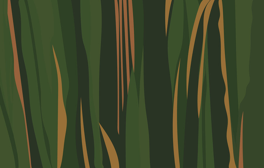 Wall murals Green and brown striped pattern - Image 3