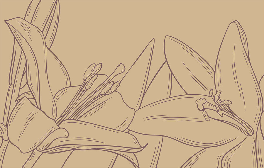 Wall murals Drawing of a flower - Image 3