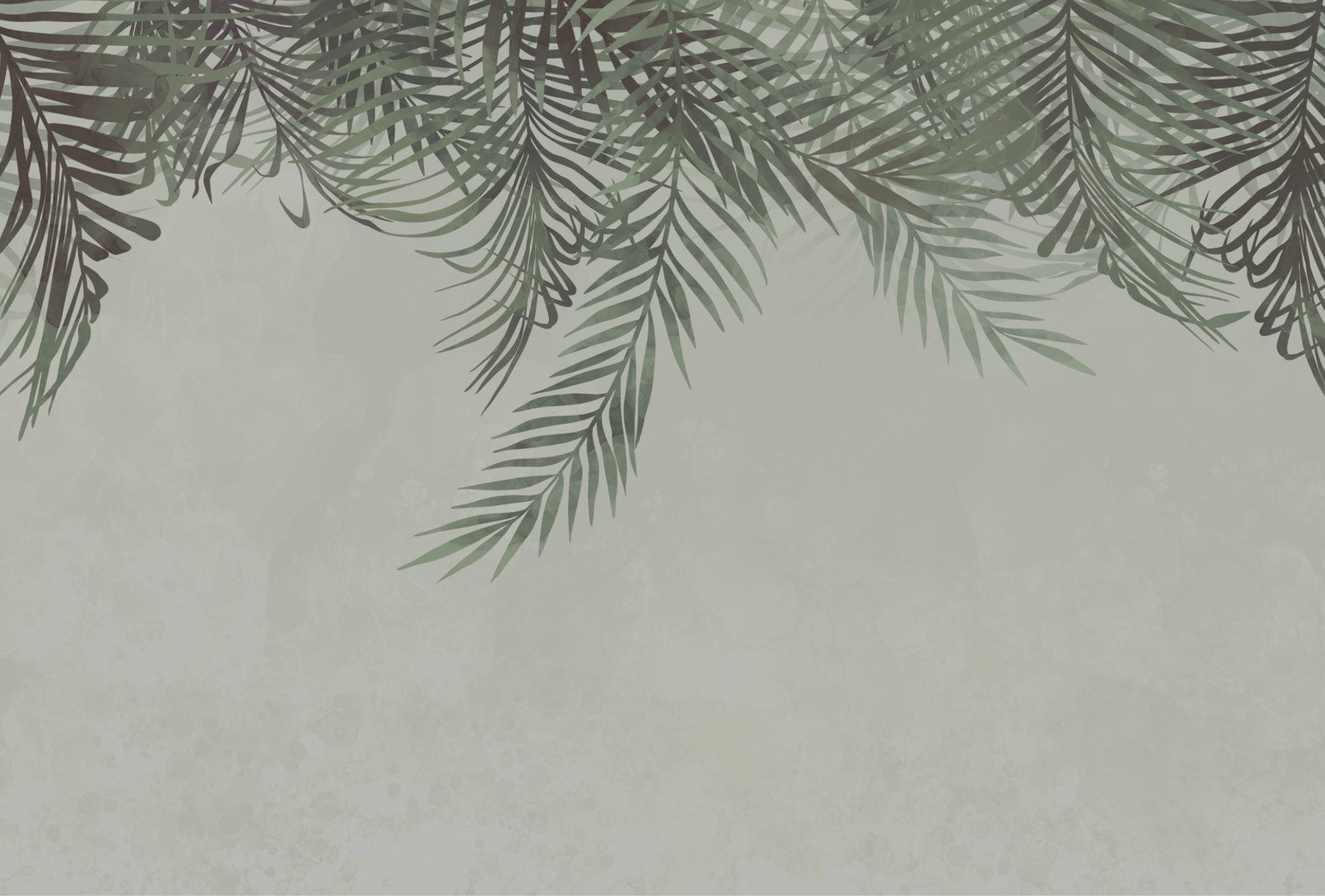 Greenery framing a soft background t00150v1p - Greenery framing a soft background