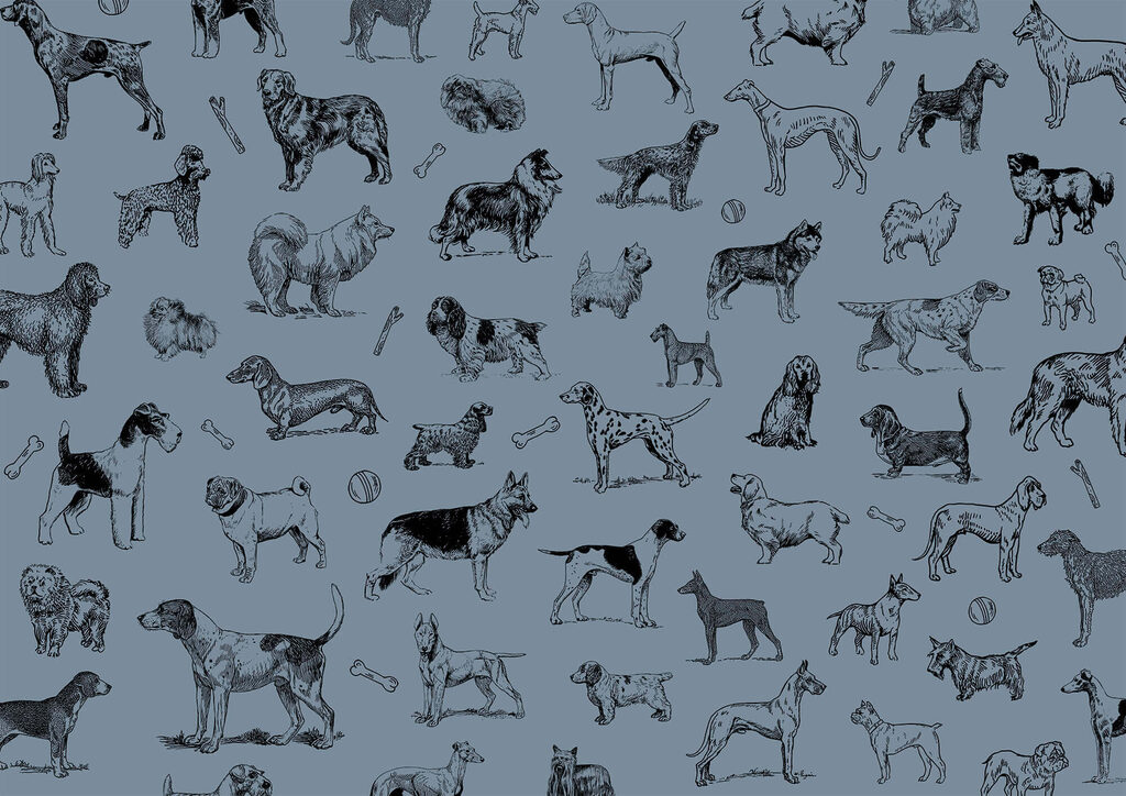 Group of dogs on a blue background t00173v1p 1024x724 - Group of dogs on a blue background