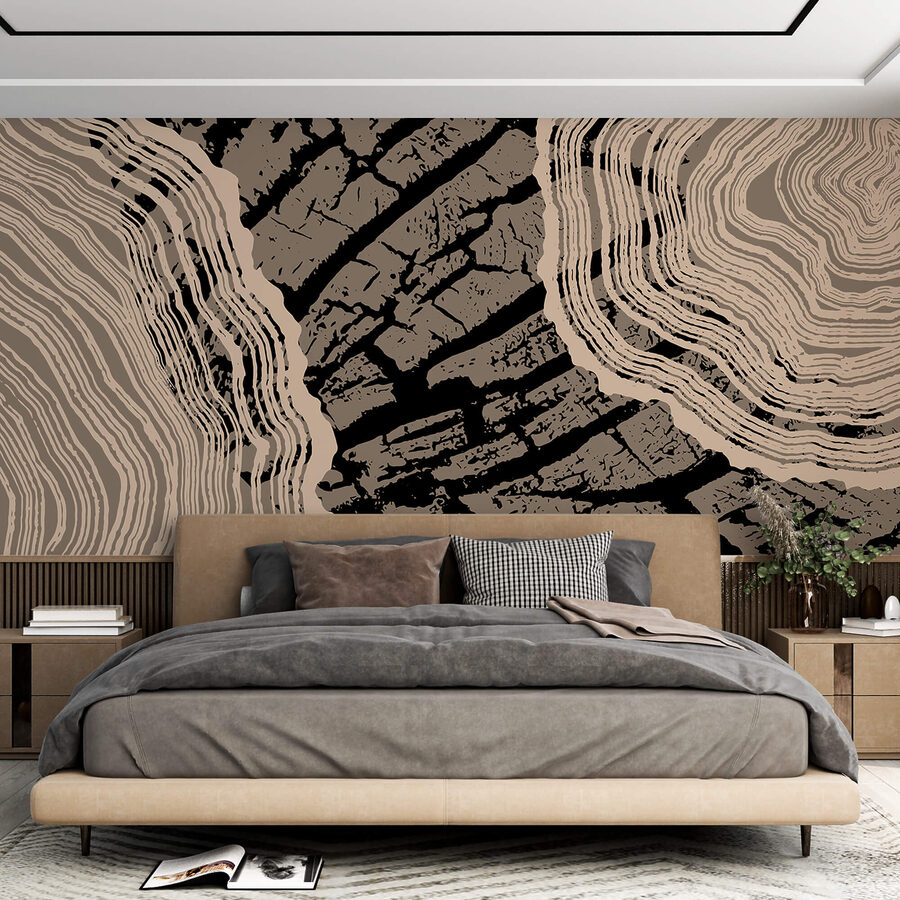 Striking patterns of nature’s beauty