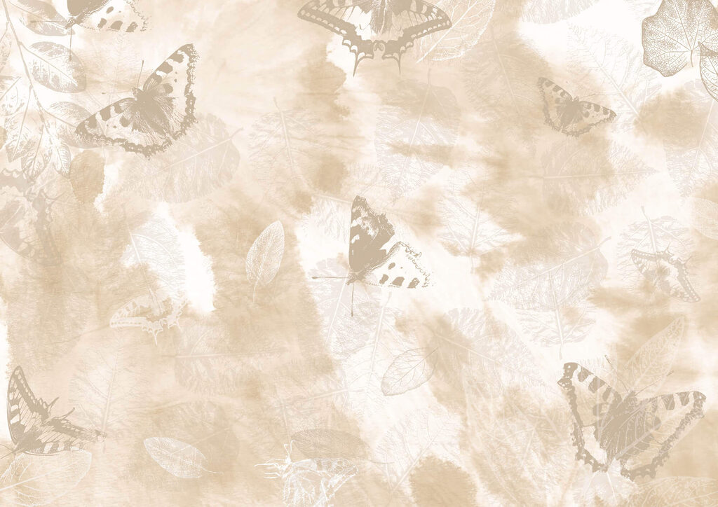 Delicate butterflies on soft background Delicate butterflies on soft background