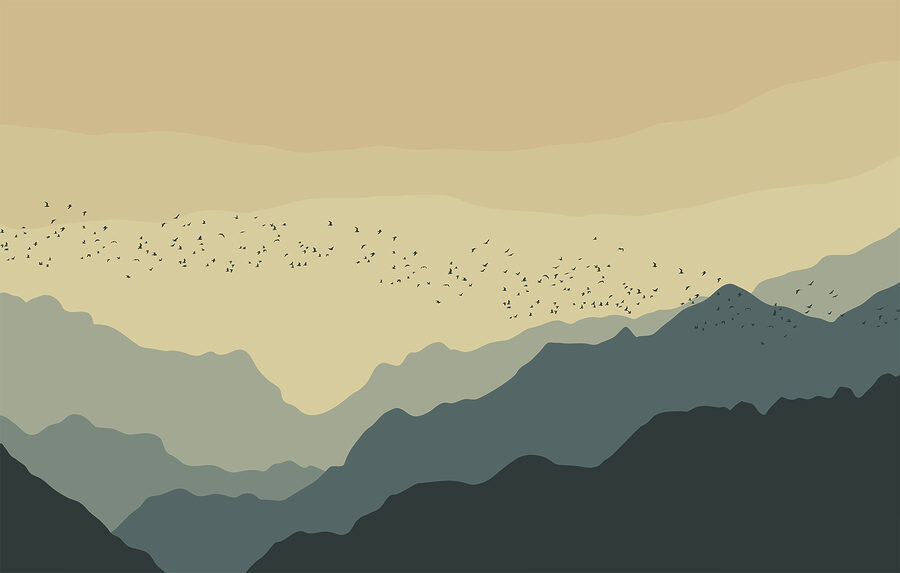 Wall murals Group of birds flying over mountains