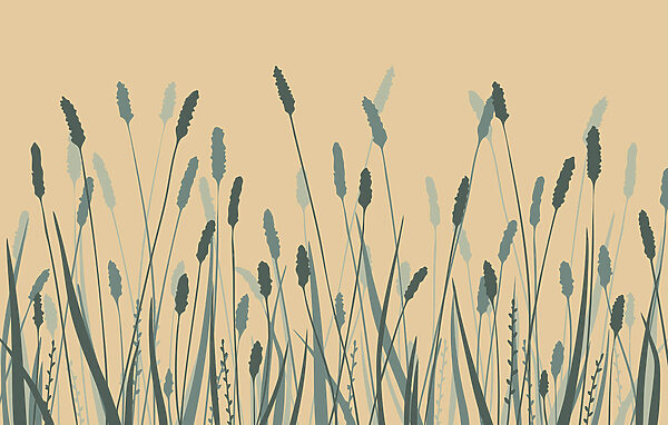 Wall murals Gentle waves of green swaying gracefully Wall murals Gentle waves of green swaying gracefully