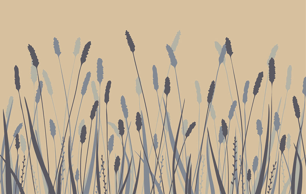 Soft hues of nature's beauty