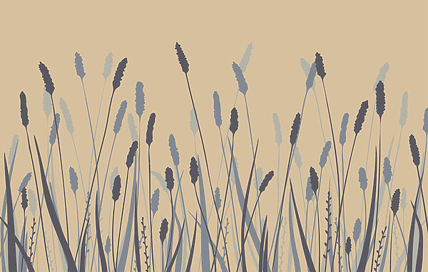 Soft hues of nature's beauty