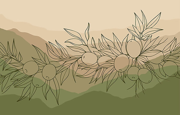 Drawing of fruit on a branch Drawing of fruit on a branch