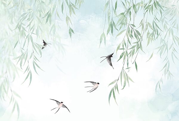 Birds flying in the sky Birds flying in the sky