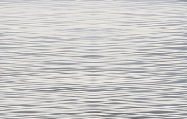 Waves dancing on a tranquil surface t00254p 600x382 - Waves dancing on a tranquil surface