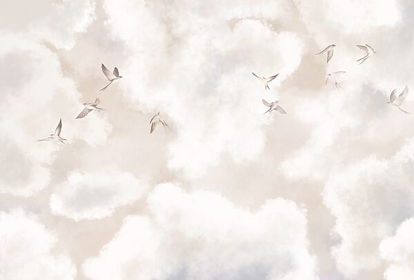 Group of birds flying in the sky