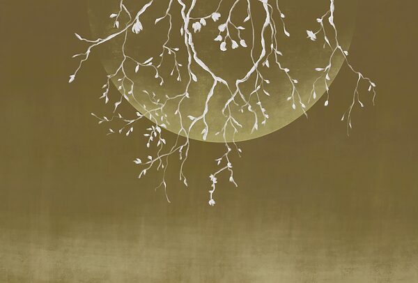 Tree branches with leaves and a moon