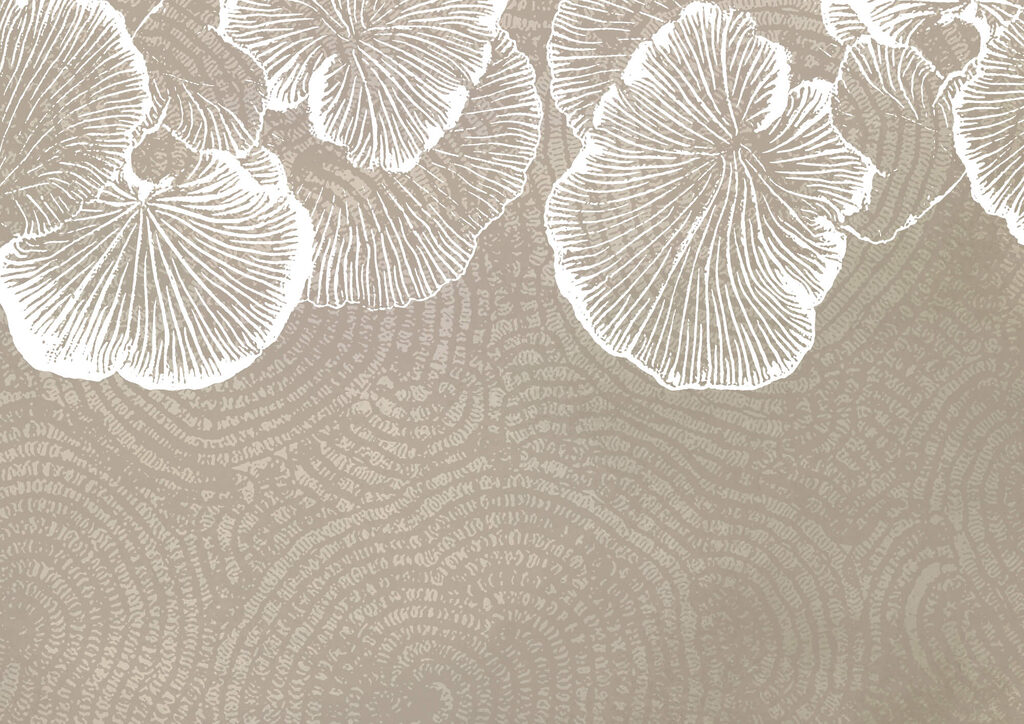 Delicate petals on a soft background Delicate petals on a soft background