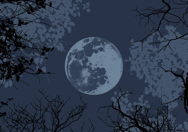 Moon in the sky Moon in the sky