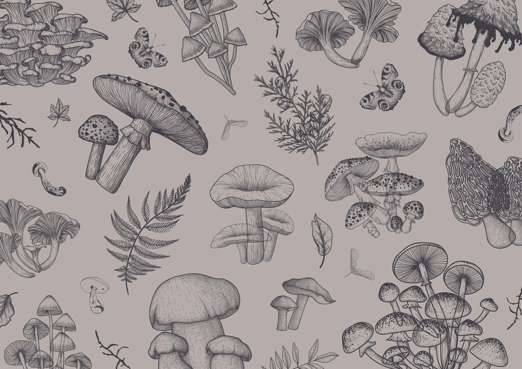 Pattern of mushrooms and leaves Pattern of mushrooms and leaves