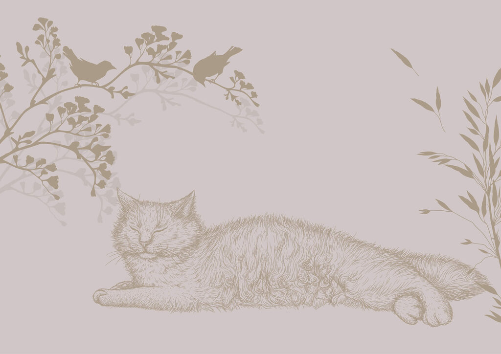 Cat lying on a tree branch Cat lying on a tree branch