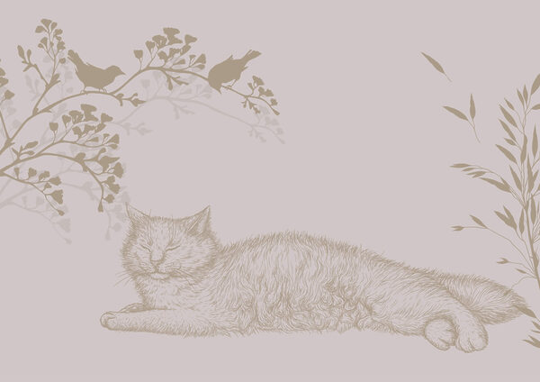 Cat lying on a tree branch Cat lying on a tree branch