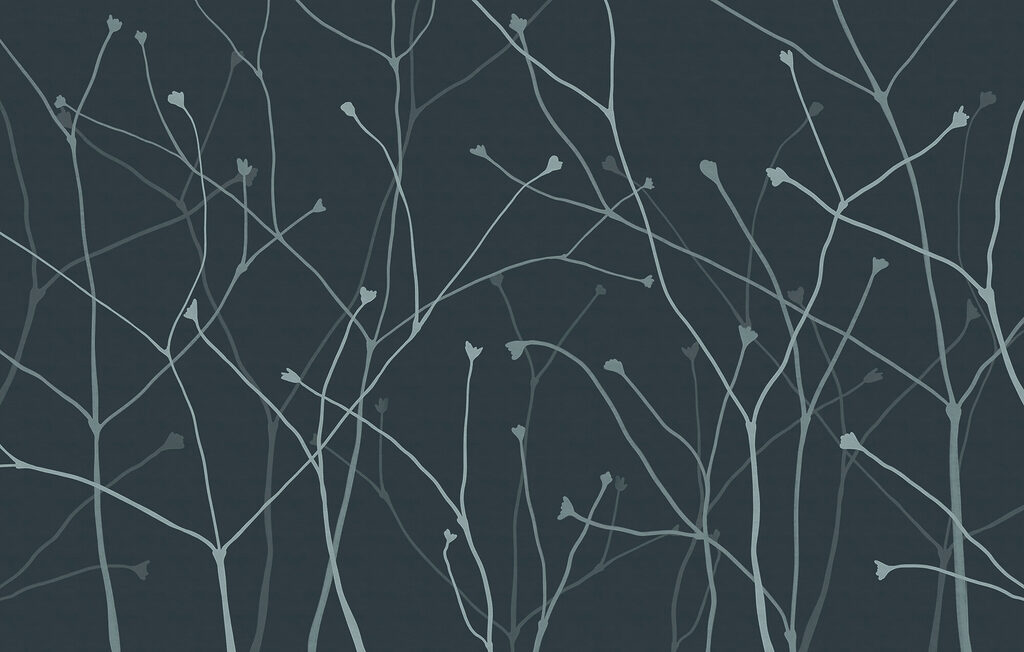 Delicate branches against a dark backdrop