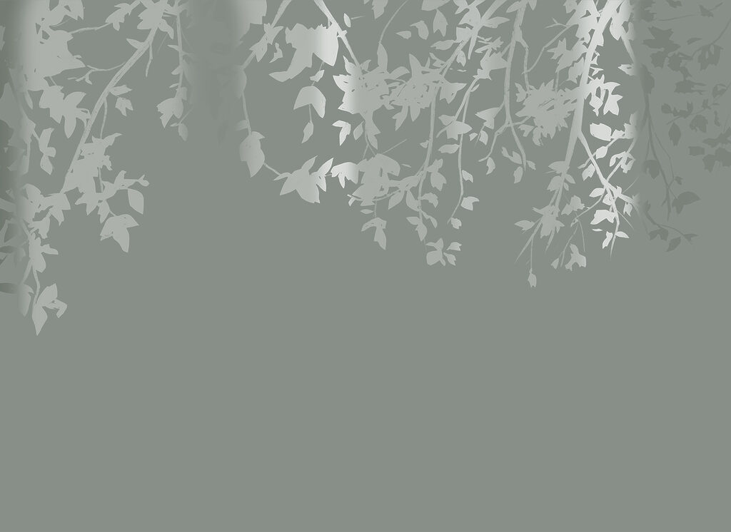 Tree branches with leaves