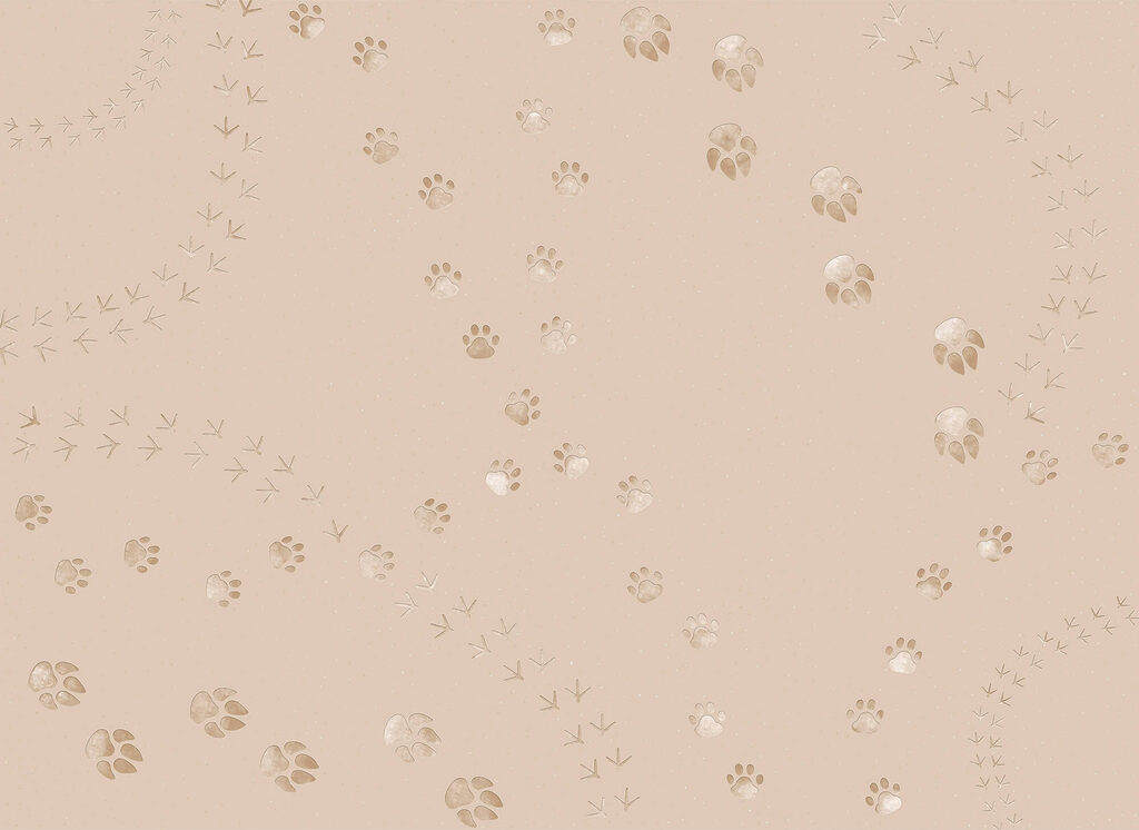 Pattern of paw prints and birds